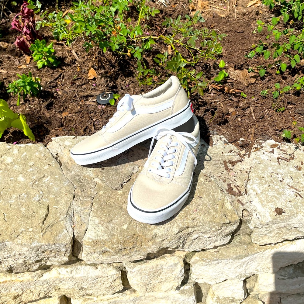 Vans Ward Men’s Skate Shoes, size 8